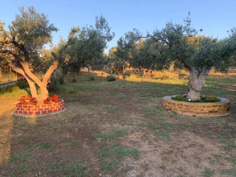 Dora'S Garden Villa Αλεξανδρούπολη Εξωτερικό φωτογραφία