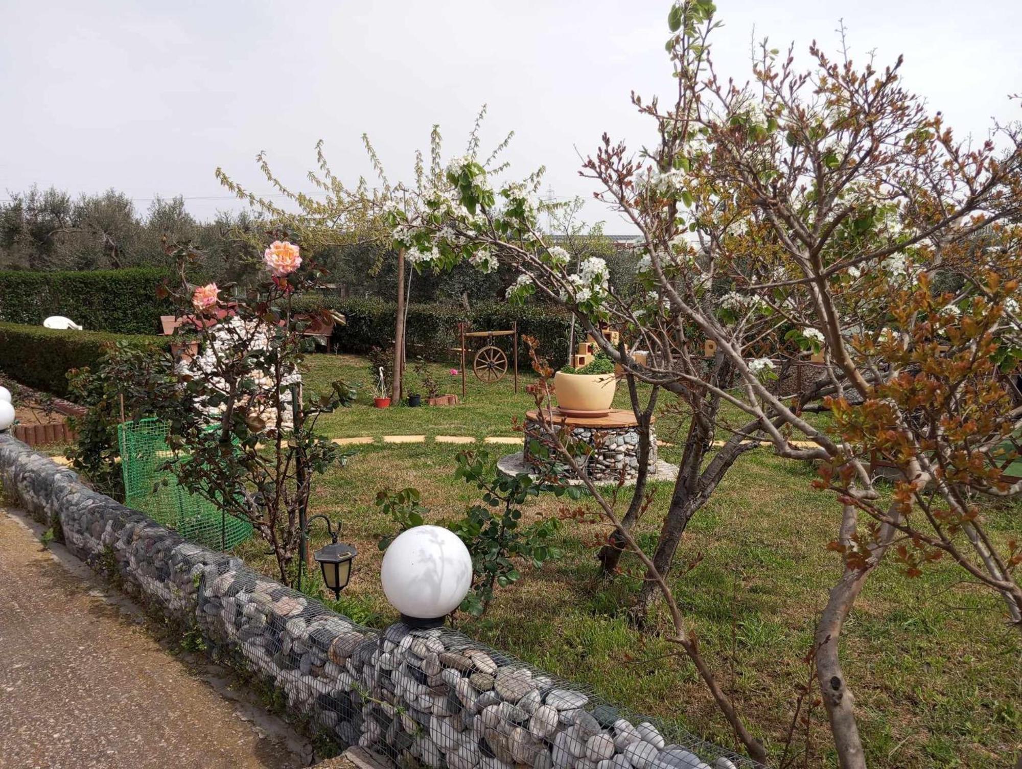 Dora'S Garden Villa Αλεξανδρούπολη Εξωτερικό φωτογραφία