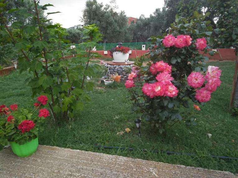Dora'S Garden Villa Αλεξανδρούπολη Εξωτερικό φωτογραφία