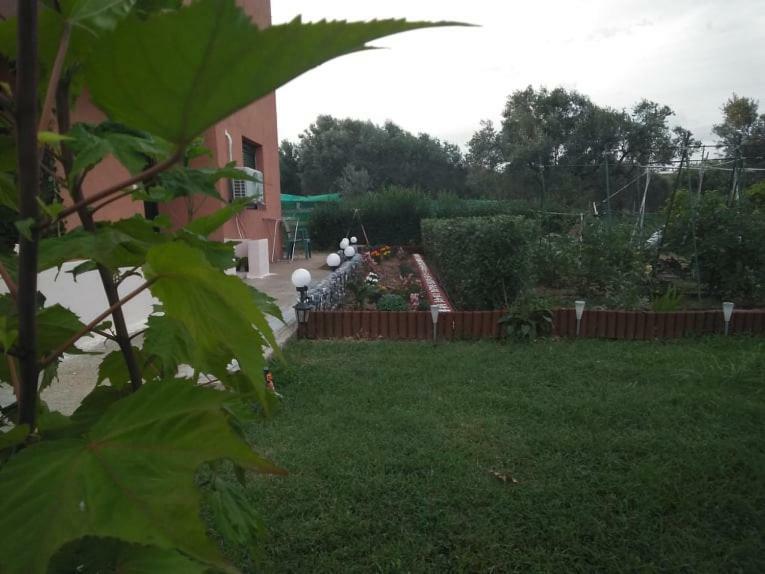 Dora'S Garden Villa Αλεξανδρούπολη Εξωτερικό φωτογραφία